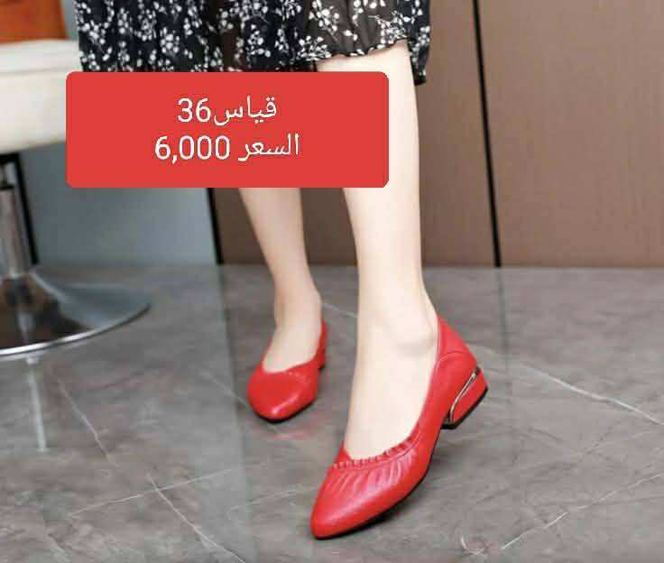 السلام عليكم 
شباب اخذية بهذا الشكل 
التفاصيل داخل كل صورة 
يتوفر خدمة توصيل 
ولاتنسونا بمتابعة الصفحة حبايب❤️


**إذا كنت صاحب هذا الإعلان وتريد حذفه لأي سبب، رجاءا أرسل رسالة إلى الدعم الفني**