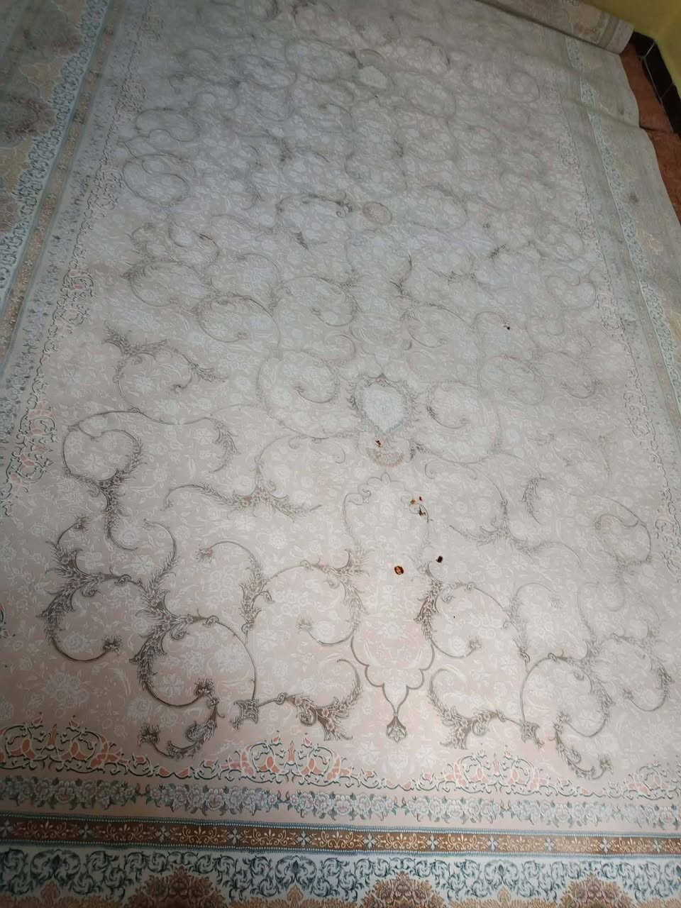 فرشات البيع انضاف اي عيب مابيهن سعر الوحده 60 و بيهن مجال 5*4 الشراي يخابر ،***********
