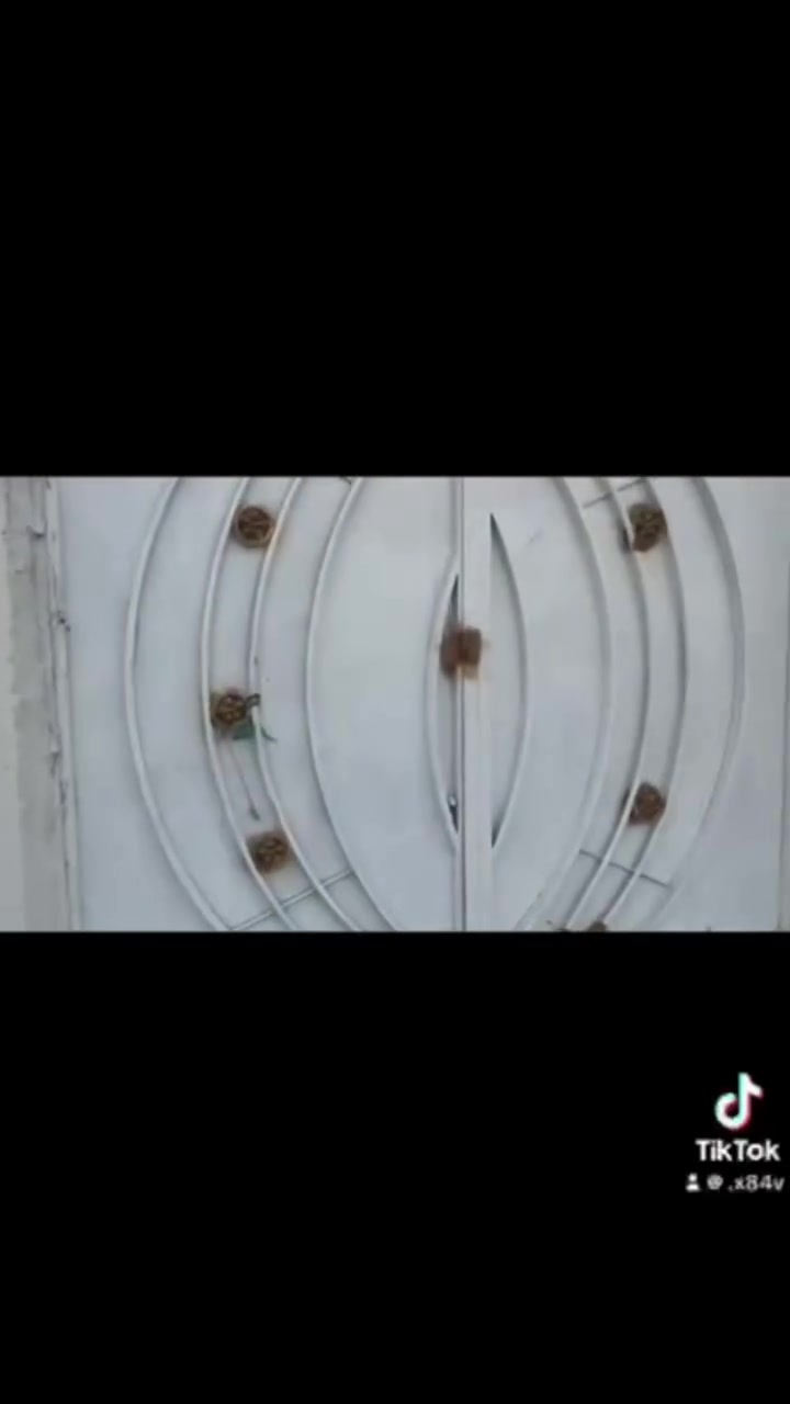 دار سكن للبيع في تقاطع النهروان ٩ نيسان سند ٢٥
المساحه ٢٠٠ متر كافه الخدمات موجوده (الهولندية)
سعر مناسب للاستفسار ***********

