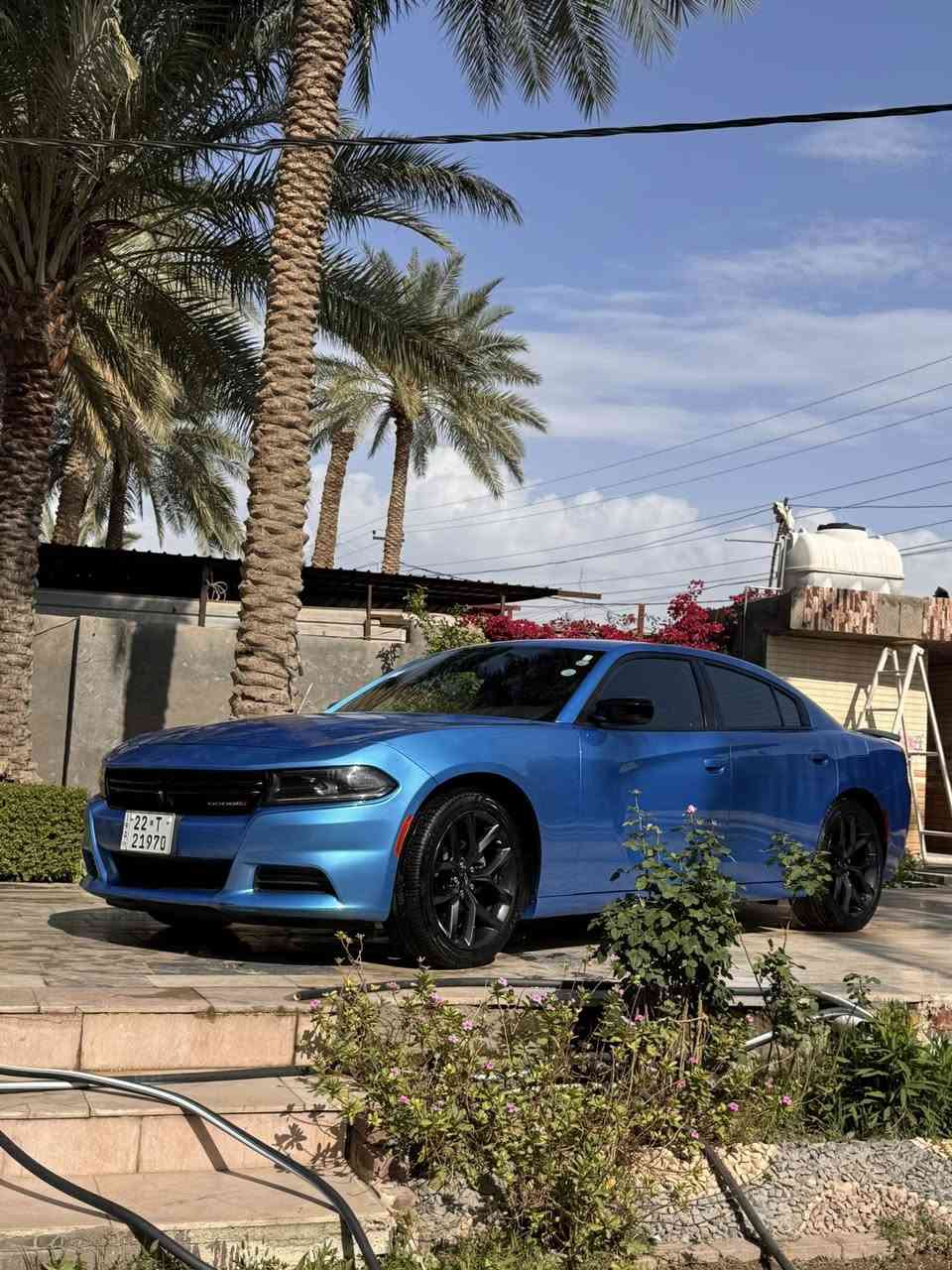 السلام عليكم
جارجر2023 بلاك توب رقم اربيل بأسمي
بدون تبديل حادثها جاملغ وربع لباب بدون دواخل
ماشيه37 جديده مناقصها اي شي مكانها بابل
السعر250 وبيها مجال
***********
