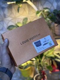 دفعة أولى • مدفوعة