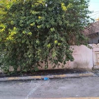 بيت للبيع طابو ملك صرف موقع تجاري كركوك طريق بغداد مكان فول تجاري يحتو...