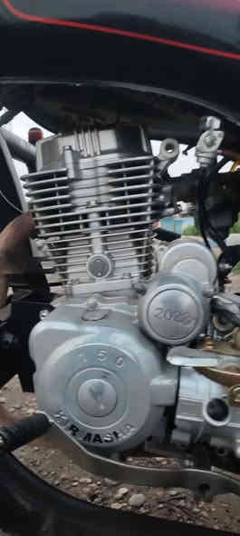 (وراق كامله ) /سعر مليون 250 /وبي مجال حك جية 

  اني مكالف با النشر وهذ رقم صاحبهة(***********)

.👈 مكان ديالى. )    ☠️  سيوفي ☠️
