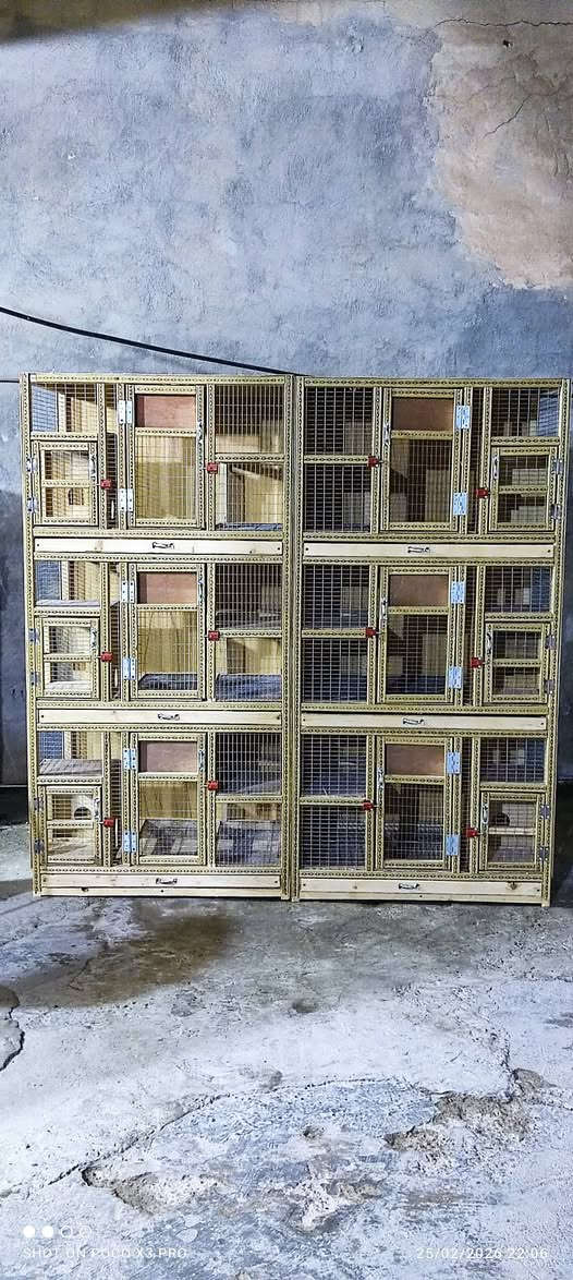 خانات الطيور حسب الطلب ***********
خانات ام 3 رتفاع الخانه 50 الواجهة 90 النزال 60
