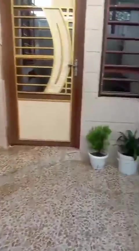 بيت للبيع في تقطيع المأمون 100متر واجهه 5عمق20 ملك صرف خدمات كامله المنطقه ماء كهرباء تبليط مدارس مستوصف قريب الاستفسار على الرقم *********** او عالخاص
