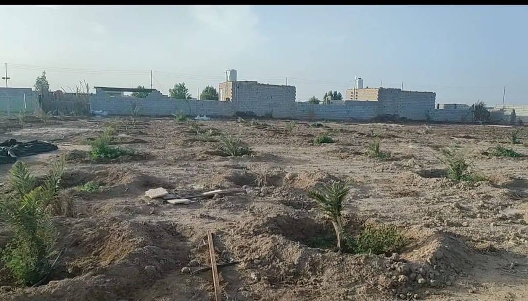 دونم مزروع للبيع
مضخة غاطسة وماطور ماء ومصدرين للماء
والنظام تقطير 
و نخيل عدد 50 نوع شويثي ارتفاع متر
سدر عدد 25 ارتفاع متر 
سياج بي ار سي ضلعين وضلعين بلوك
خزان سعة 5000
مصدر كهرباء موجود 
المكان حي قادة النصر قرب شركة نفط ذي قار 
للاستفسار الاتصال على الرقم 
***********
السعر ٥٥ وبي مجال
