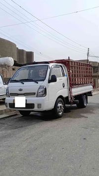 شباب فحل 2019 للبيع مكلف بنشر ومستعجل للبيع الاستفسار 07709358783 بسعر...