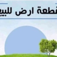 طابو صرف • ٢٥٠م • الحمزة الشرقي منصور الأول