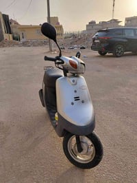 بطة • رصاصي • ما مفتوحة