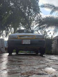 سايبا • ٢٠١٢ • الديوانية