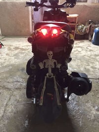 سكنس جبلي • كفاله عامه • رمبه