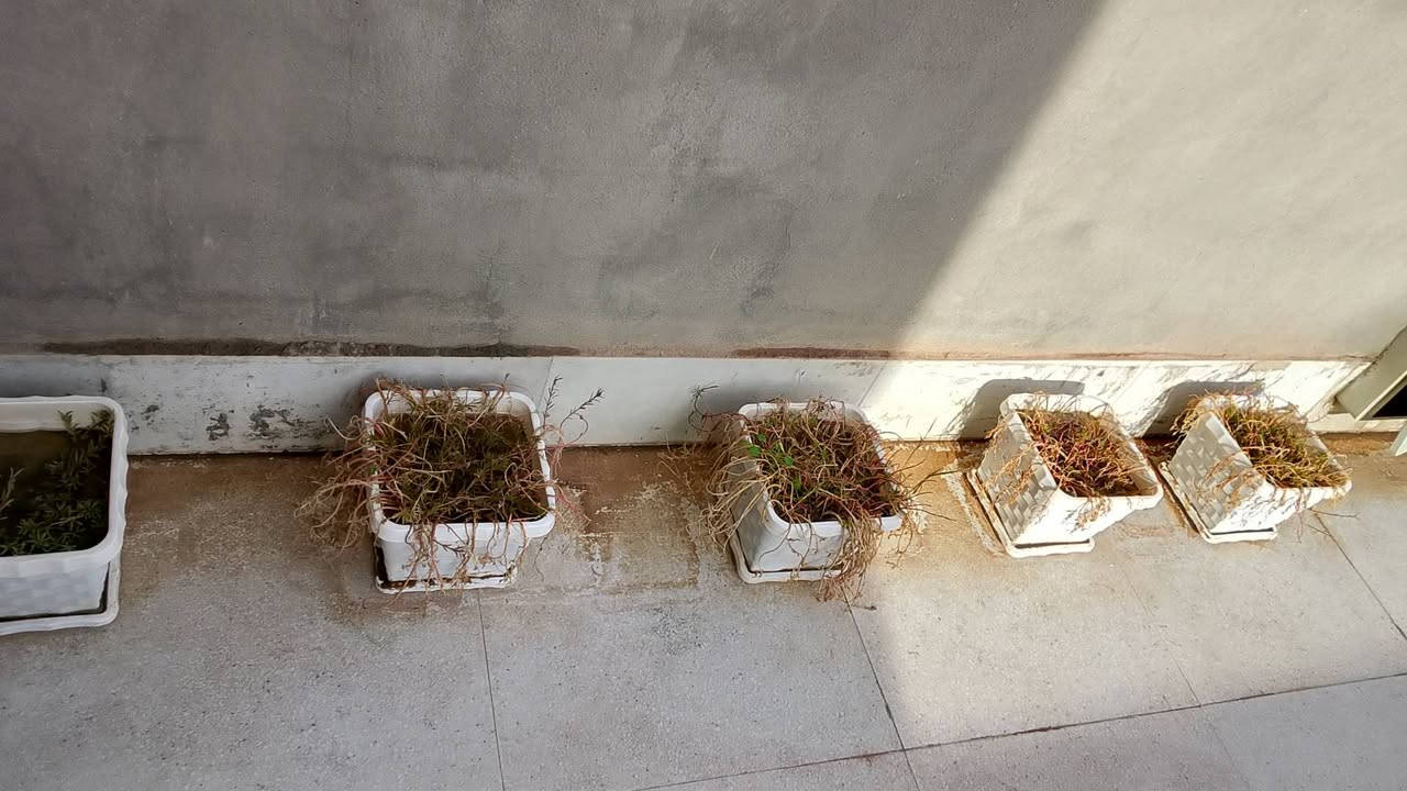 سلام عليكم
عندي هلشغلات للبيع


**إذا كنت صاحب هذا الإعلان وتريد حذفه لأي سبب، رجاءا أرسل رسالة إلى الدعم الفني**