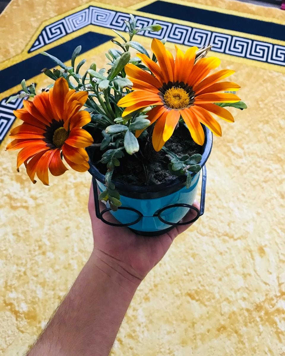 ب١٥٠٠ فقط
ورد موسمي بالوان واشكال مختلفه
مع سندانه ام النظارة ( تتوفر بالوان متعددة) حسب اختيارك ❤️

-الفرع الاول :- سوق حديثة مقابل كوفي سراج في الفرع المقابل لمطعم ومشويات الرسول

-الفرع الثاني :-شارع التربية مجاور ماركت القاسم


**إذا كنت صاحب هذا الإعلان وتريد حذفه لأي سبب، رجاءا أرسل رسالة إلى الدعم الفني**