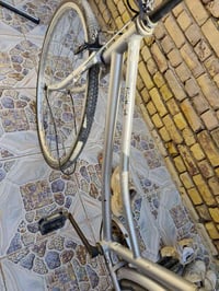 باسكلات ثنين • بريكات كامله • واحدة مصبوغ