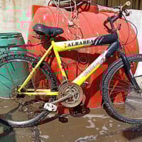 بغداد • دراجة • نوارس دجله