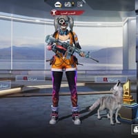 مقفل • ثلجي • موصل ايمن