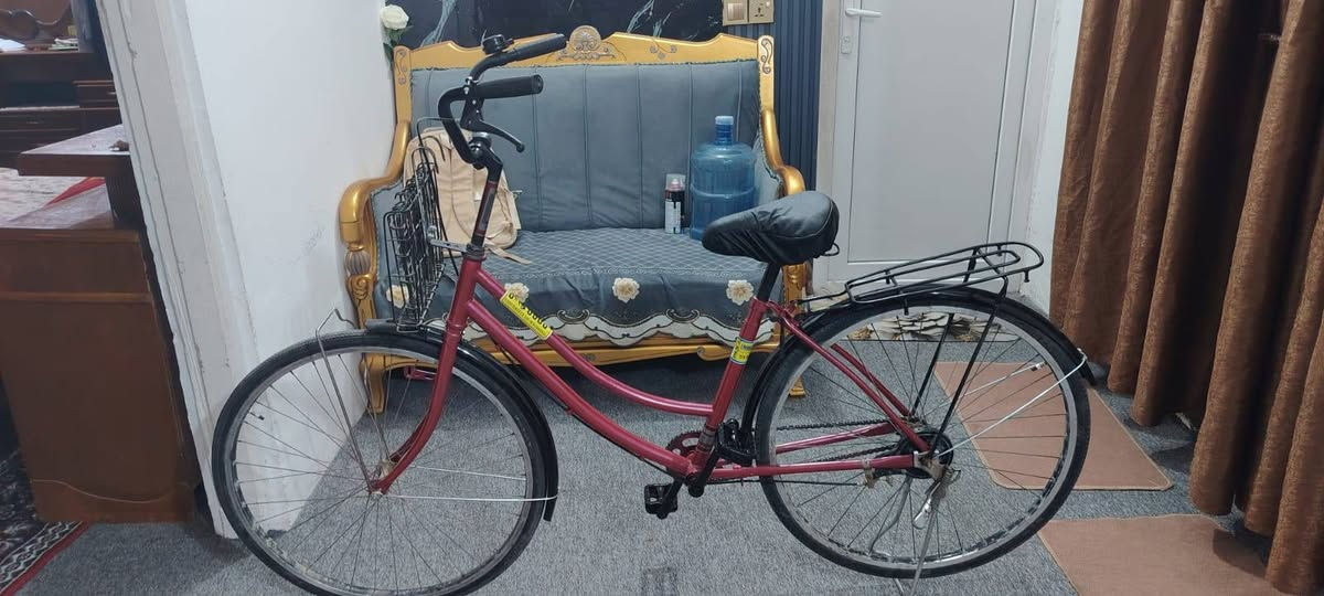 تخم قنفات خشب زان اصلي ١٠ مقاعد كربلاء سيد اسماعيل ٣٥٠

باسكل ياباني ب٧٥

***********  
كربلاء متوفر على الوتساب همين
