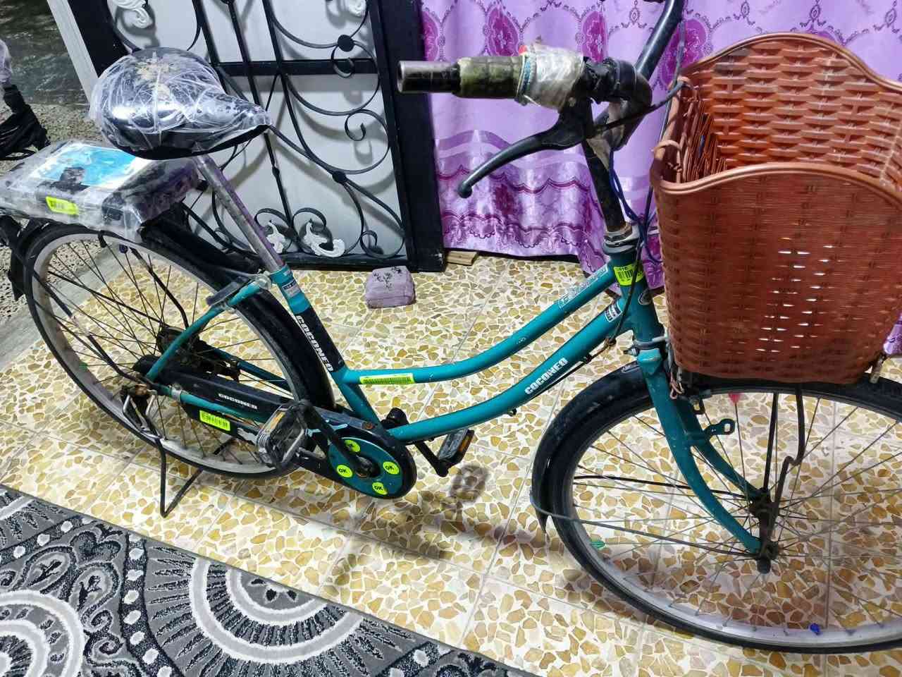 فاسكل عبد الحليم للبيع السعر 90 وبي مجال المكان موصل


**إذا كنت صاحب هذا الإعلان وتريد حذفه لأي سبب، رجاءا أرسل رسالة إلى الدعم الفني**