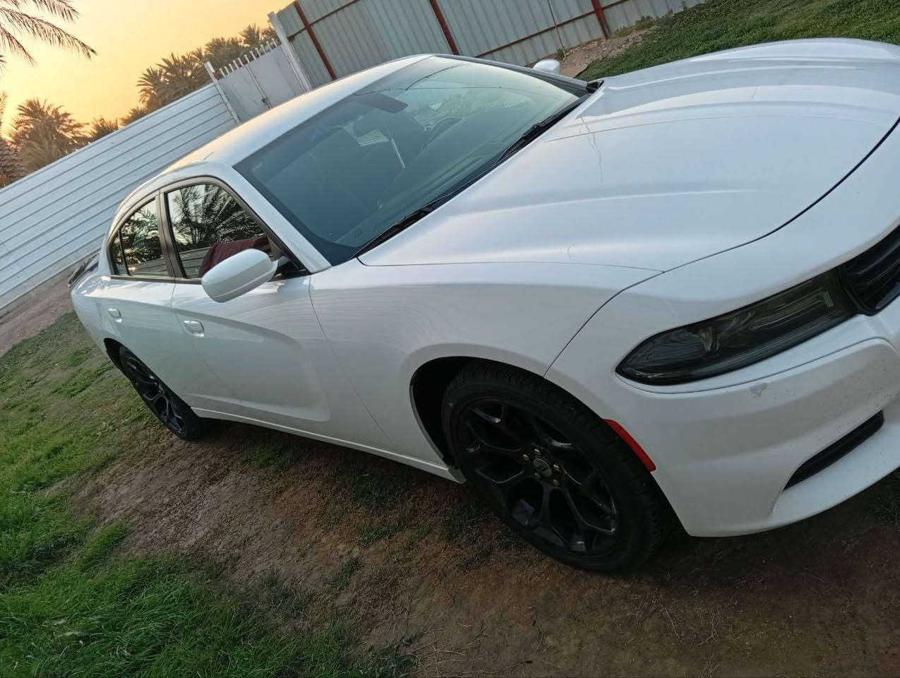 السلام عليكم دوج جارجر 2019 مواصفات SXt المعروفه بدون حادث كلين فقط دعاميه اماميه حتى بدون ايرباك رقم بغداد انكليزي
مواصفات 
*شاشه كبيره
*حساسات 
*تشغيل عن بعد 
*ماشيه 123km
*ويل عشرين 
*تو ويل 
*تبريد قطعتين 
سياره جديده جاهزه للاخير
***********
***********
العنوان بابل الشوملي
