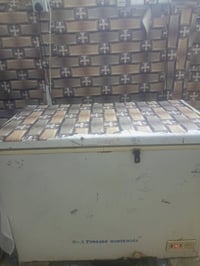 مجمد • شغاله