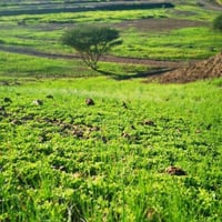 ارض للبيع  البعيثه مجمع الرحمن مساحة الارض 88 م واجهه 5 ونص ونزال 16 و...