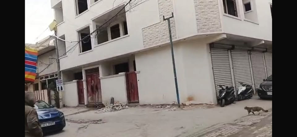 السلام عليكم
محلات للايجار 
الموقع الحرية / البستان / مجاور صيدلية البهاء
مساحة كل محل ٣*٦
للاستفسار تواصل على الارقام التالية 
***********
***********
***********
