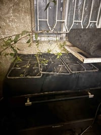 طباخ • فرن يحتاج تشغيل • عيون جديدة