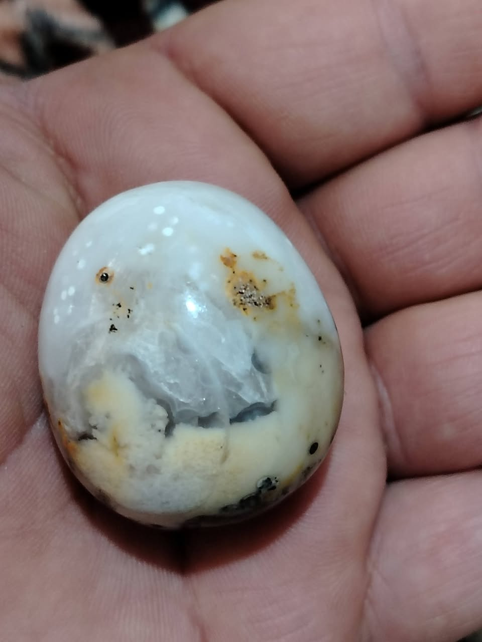 يمانية كبيرة مصورة 
نصف بيضة تقريبا 
25 الف


**إذا كنت صاحب هذا الإعلان وتريد حذفه لأي سبب، رجاءا أرسل رسالة إلى الدعم الفني**