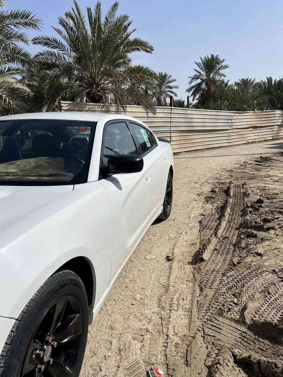 سلام عليكم

جارجر موديل 2021 sxt

حادث بسيط: البنيد فقط مع صبغ بارد بباب الساىق التقرير مرفق مع الصور 

📌 مواصفات السيارة:

كشنات جلد
تحكمات ستيرن
كشنات كهرباء
وباقي مواصفات العادي

ماشية 80 ميل

السياره بأسمي تحويل ثاني يوم

السعر: 215 

المكان البصره

للتواصل:

***********
