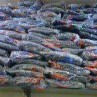 شورت ولادي • ٩-١٢ سنة • ٢٥٠٠ قطعة