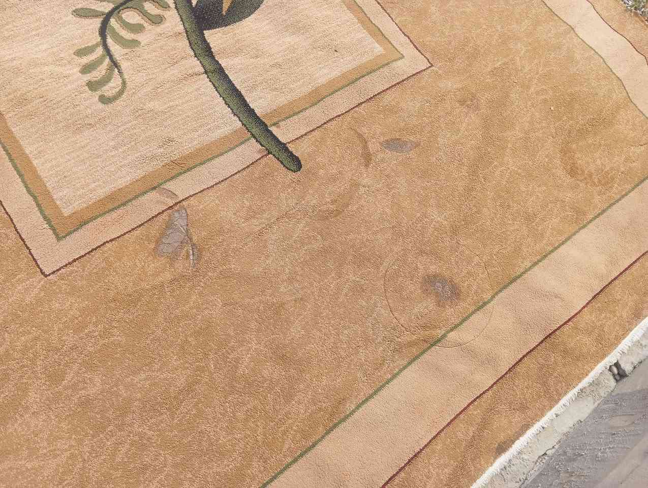 سڵاو هاوڕێیان ئەم فەرشە بۆ فرۆشتن  3 بە 5  شوێن کەلار بۆسعر نامە بنێرە


**إذا كنت صاحب هذا الإعلان وتريد حذفه لأي سبب، رجاءا أرسل رسالة إلى الدعم الفني**