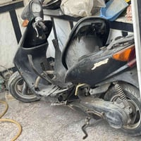 عصفورية مفصخة كايمة ب 100 الف  المكان حي القاهرة  07744537791