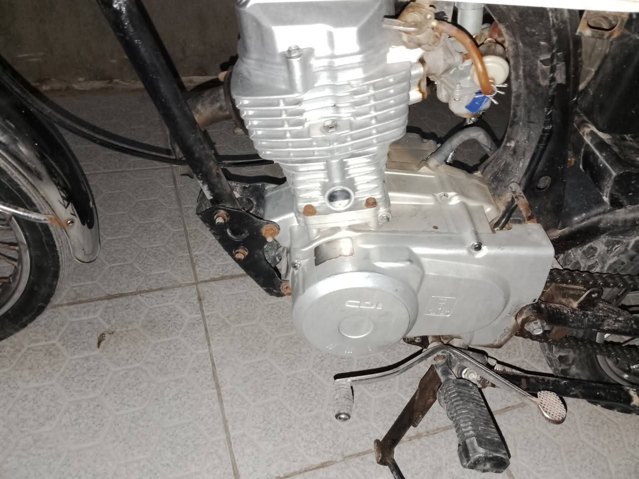 دراجة لبيع ارشا 14 أوراق اصوالي  وكالة نوار الباشه 
500 وبيه مجال بسيط
تواصل ***********
