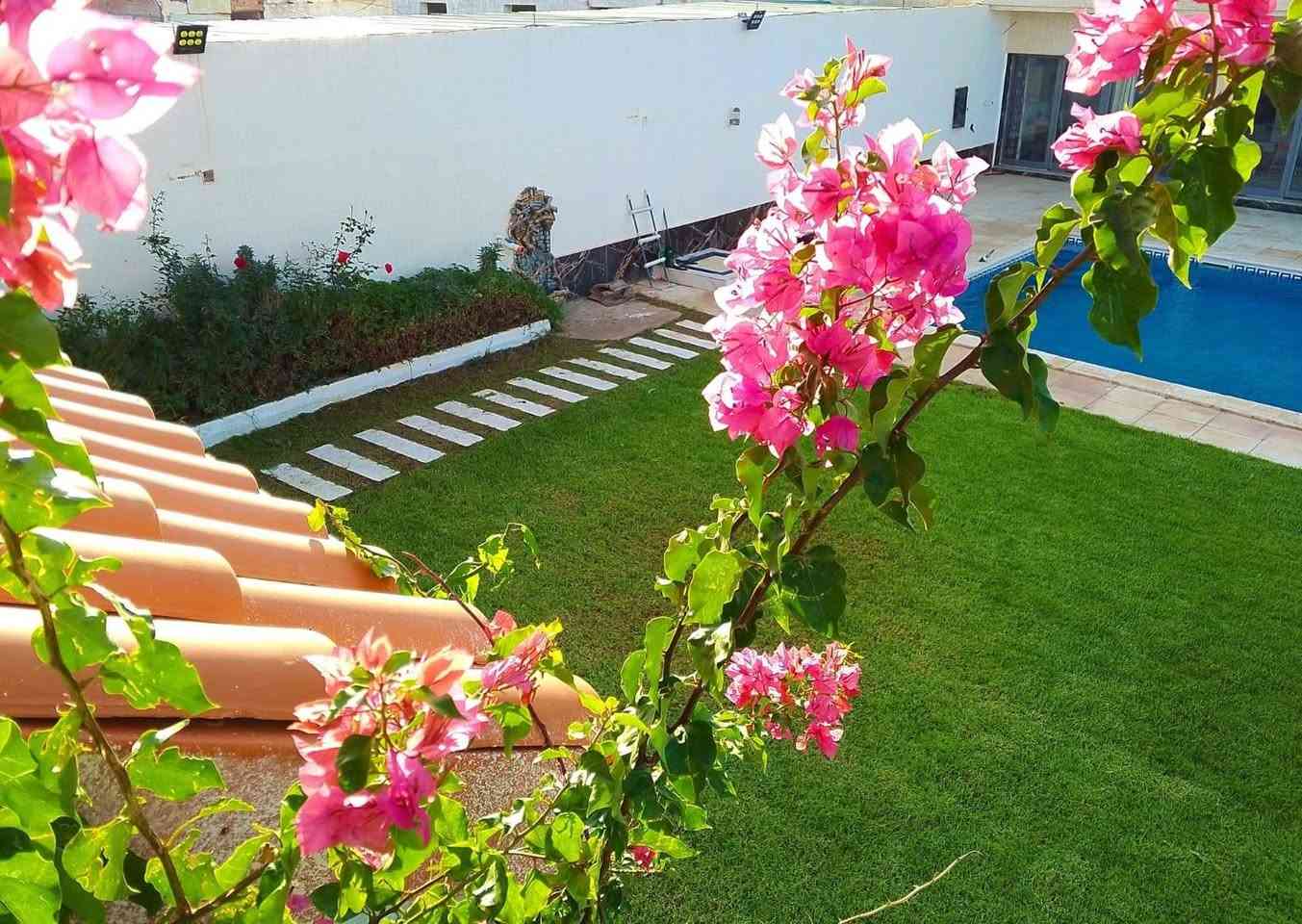 حديقجي في اربيل + تصميم وترتيب ديكورات 
زرع حدائق + أدامه شهريه+ زرع اشجار + تقليم الأشجار +قص ثيل 
تنظيف وترتيب الحدائق + قلب وتنظيف تربه +
تبديل تربه + ترتيب سياج الحدائق  
ترتيب اطارات الحدائق بل حصو الملون الاستفسار 

واتساب ***********
