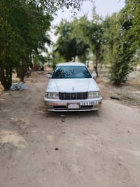 راس الثور • ٢٠٠٠ • نقل جثه