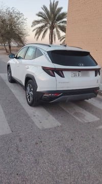 توسان ٢٠٢٤ • ماشية ٣١ ألف • بابل محاويل