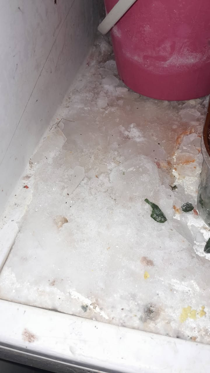 ثلاجه لبيع مستعمله فقط باب لا يعمل وتبريد جيد سعرها ٧٥ وبها مجال


**إذا كنت صاحب هذا الإعلان وتريد حذفه لأي سبب، رجاءا أرسل رسالة إلى الدعم الفني**