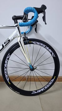 رود فوكس ألماني • مقاس ٥٤ • كلارس ٨×٢