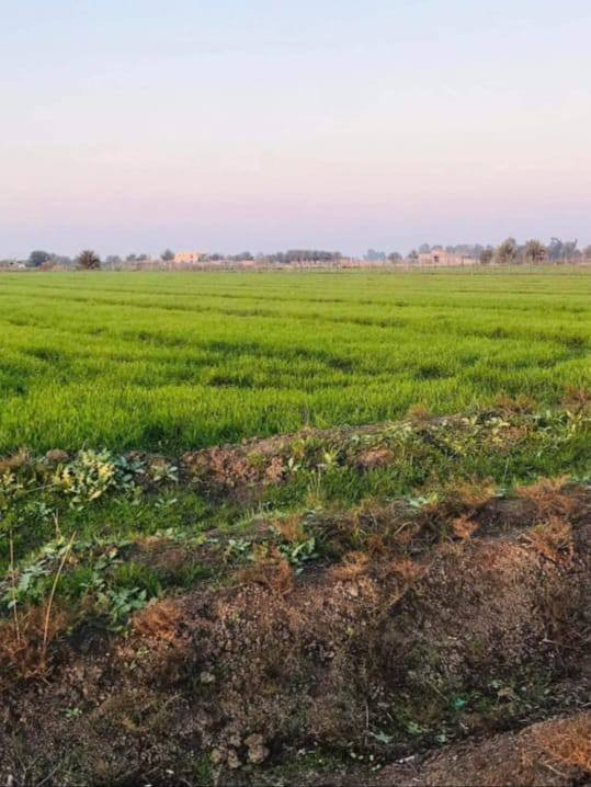 السلام عليكم 
ارض للبيع لاصحاب الامكانيه القليله 
جايبلك 6 دوانم السعر 7 مليون قفل للدونم الواحد
ابد مابي خساره وخدماته ماء وكهرباء وطريق وواجهته مرتبه
تباع حسب الطلب جنس الارض طابو سند 25 فتح بيان بأسم المشتري العنوان تاجي سبع البور منطقة الشيخ عامر (منطقة العيساويه عبور الجسر الثاني منطقة سكنيه وزراعيه) عيش رفايهيتك وسعار مرتبه وحلوه وفرصه ذهبيه ما تضيع ان شاء الله تشتري ب 7 بعد كم شهر تبيعه ب 15 ووالله العضيم ابد ماكو خساره وكلام معروف انو العقار مابي خساره وهواي ناس اشترت بلشيخ عامر واطرافهه واتساب *********** 🌳🌳
