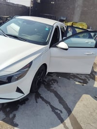 النترا • ٢٠٢٢ • وارد امريكي