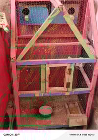 قفص • ما بي شي • ناصرية مركز