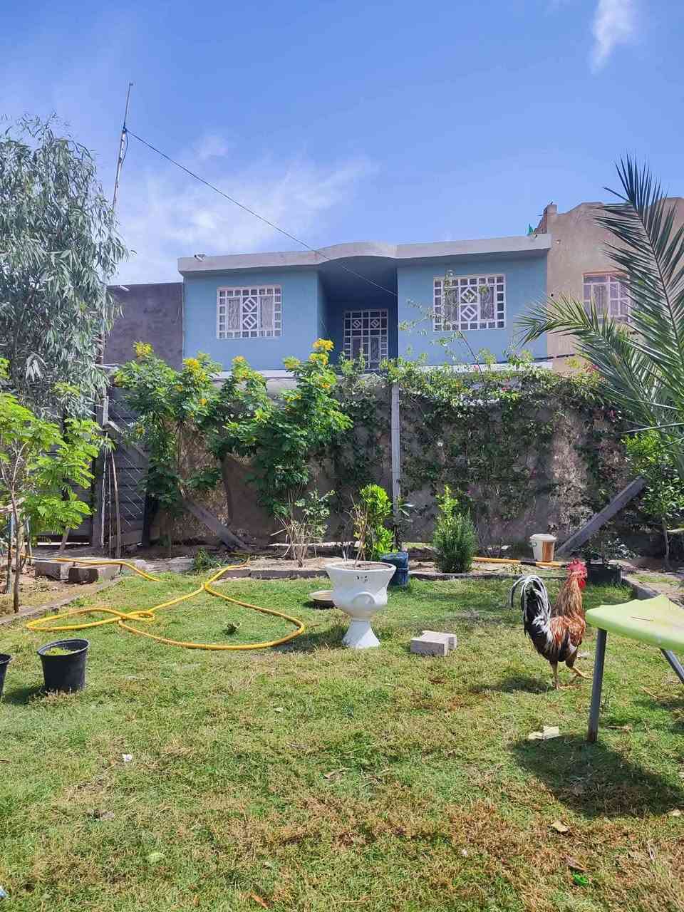 🔥لا تفوت الفرصه 🔥
🔥عرض مناسب جدا 🔥

بيت🏠 للبيع المساحه 110 مربع طابقين على ساحه  ميلاد فاو خلف مطعم سيف الجبوري مقابل البيت حديقه مسيجه البيت يحتوي على 4 غرف وصاله ومطبخ واستقبال وحمامات خارجيه وداخليه بناء طابوك اساس وسقف صب كونكريت
#السعر 💵💵 130 مع المجال
للاستفسار خاص


**إذا كنت صاحب هذا الإعلان وتريد حذفه لأي سبب، رجاءا أرسل رسالة إلى الدعم الفني**