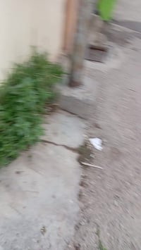 بيت مساحته 150متر طالقين بالعزه الجدبده. َ الاستفسار الاتصال 077220616...