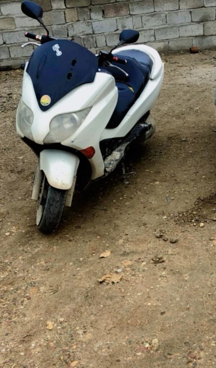 السلام عليكم
البيع او مراوس
فورزا 10 0
مكينه وكير كفاله
***********
مكاني صلاح الدين بلد
سعره بلاش متوازي
