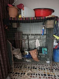 قفص حيوانات • ١٥٠×١٥٠سم • مزرعة