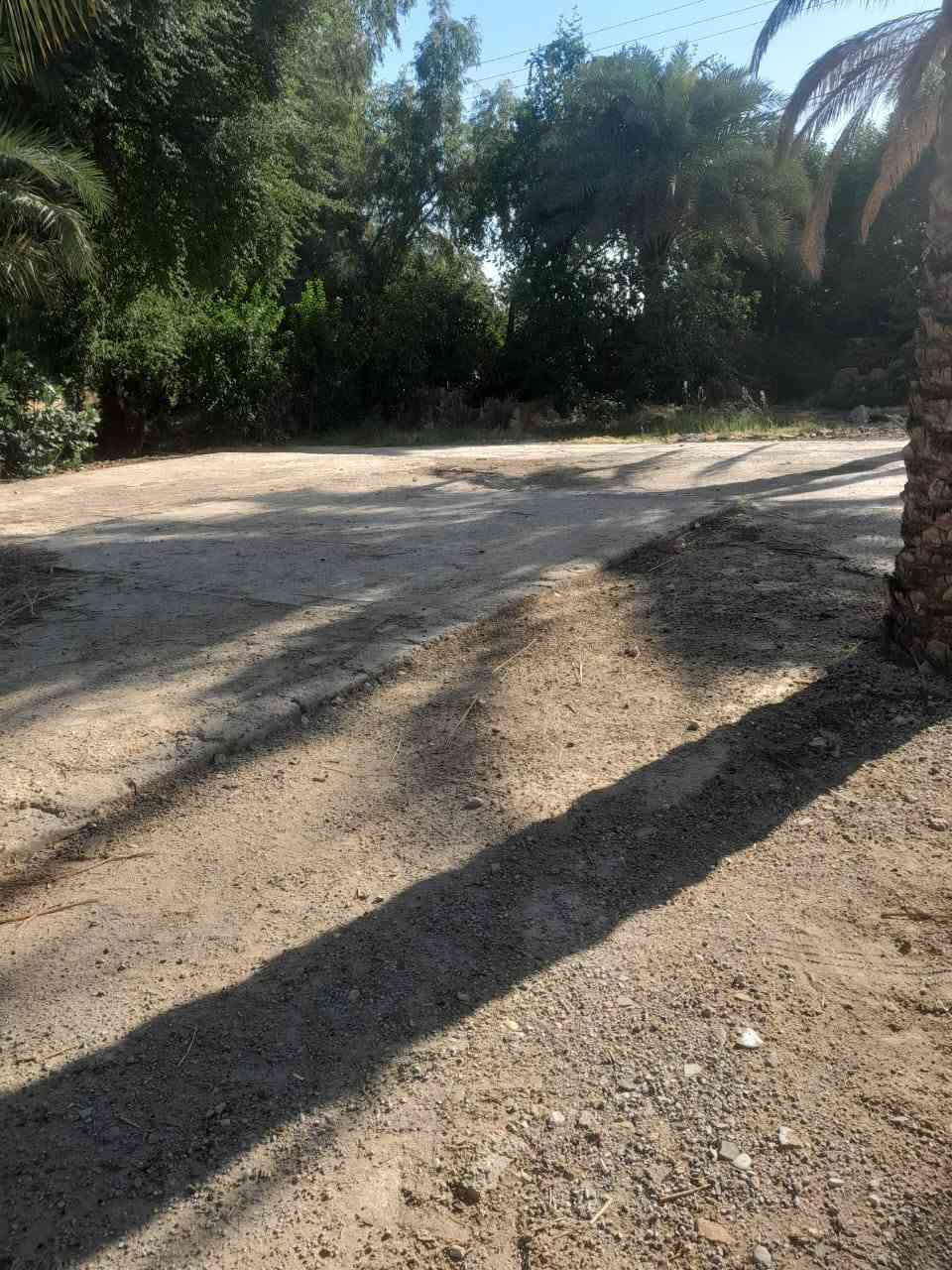 التفاصيل26 دونم سند 25 زراعي الزبيديه وجه شط وشارع ٥٠ /٢٥ دونم /سند ٢٥ تحويل ثاني يوم السعر 30مليون الدونم  وبيه مجال قليل وبيه بيت ٢٠٠ متر وماطور كهرباء ٣٠ حصان مجاز للاستفسار على رقم ***********
