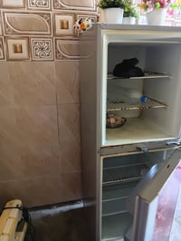 ثلاجه • الفوك يجمد • للبيع