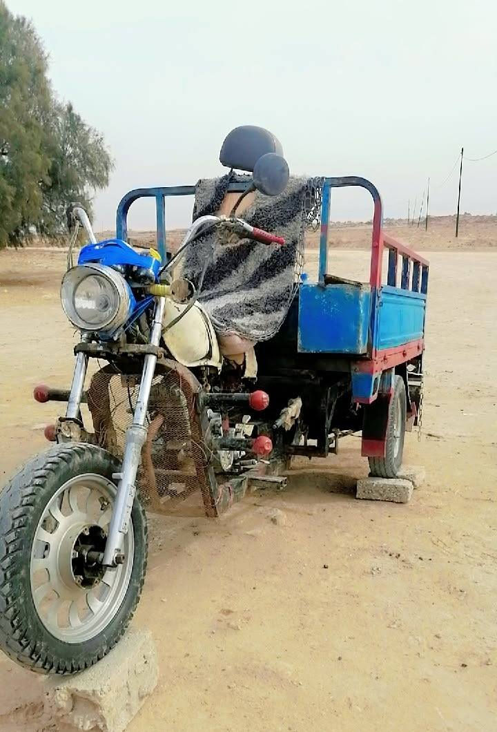 سلام عليكم ستوته البيع متيار رقم سنويه رقم قادسيه ستوته بيه راصطات بل شاصي جوه المحرك جديد تخم تاير جديد اكسن صقر ستوته شوف عينك تريد دبلات المو شراي اليتعبني مكاني بابل تصل آبيك خير ودلل ***********
