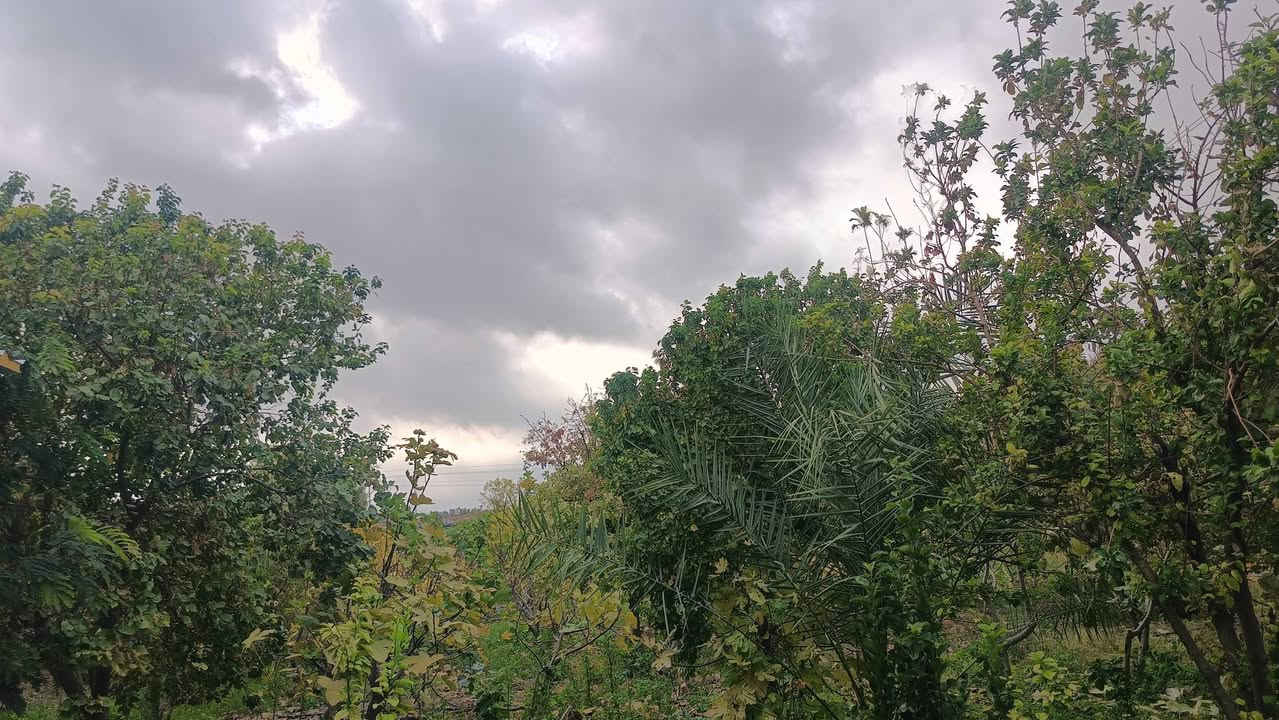 #_مزرعه للبيع 
مساحة الأرض دونم و400م  محدده بسياج من ثلاث جهات وفيها دار استراحه صغير ومسبح وغرف للحيوانات وتنور طابو زراعي25 مغروسه بأشجار زيتون على طول السياج وتين ومشمش وخوخ ونخيل و وقسم منها ارض غير مزروعه وتحتوي على بئر وكذالك أشجار رمان وبرتقال وليمون وقمرية عنب للاستفسار ‏‪0771 132 5172‬‏ او 
***********
السعر 45 مليون وقابل للتفاوض
