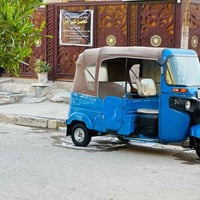 شباب تكتك 2021شهر 11 مرقمه كفاله عامه تجي تكلب وتروح كدامي عينك صور ال...